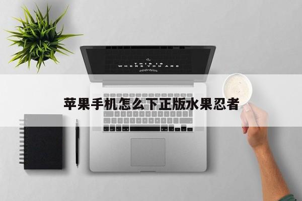 苹果手机怎么下正版水果忍者