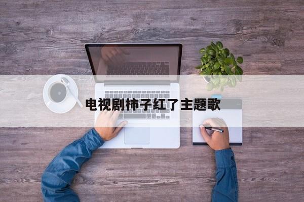 电视剧柿子红了主题歌