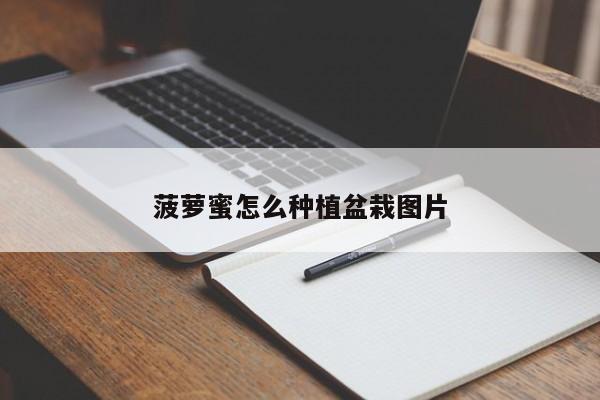 菠萝蜜怎么种植盆栽图片