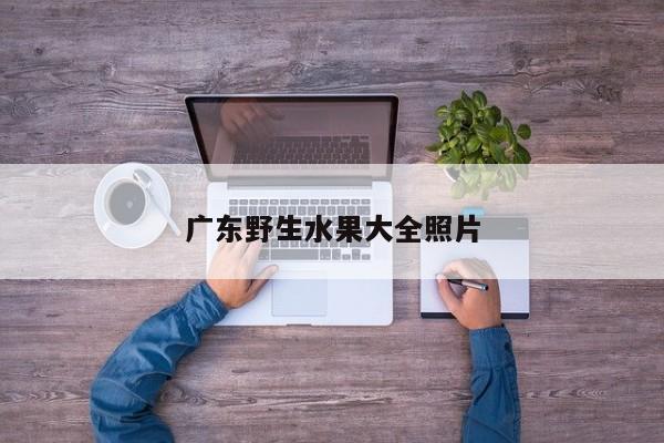 广东野生水果大全照片