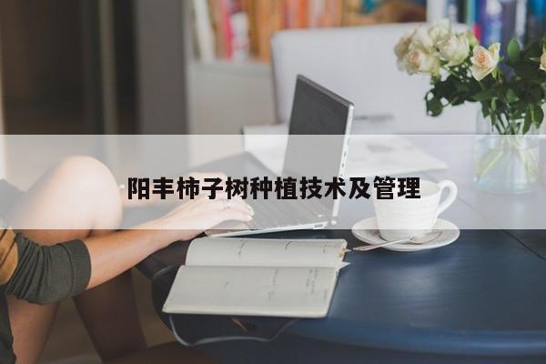 阳丰柿子树种植技术及管理