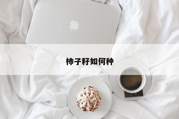 柿子籽如何种
