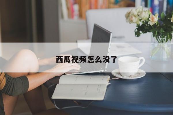 西瓜视频怎么没了