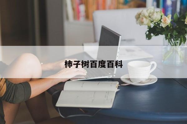 柿子树百度百科