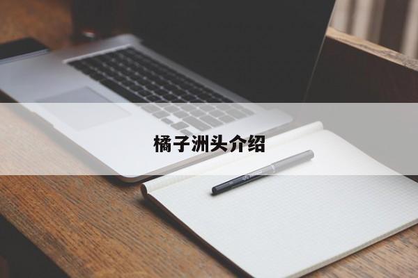 橘子洲头介绍